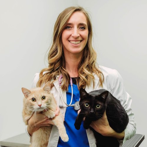 Dr. Brittany Kaufman, DVM