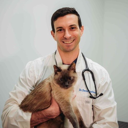 Dr. David Kaufman, DVM
